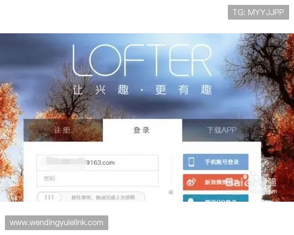 问鼎网页版登录遇到问题怎么办，详细解决步骤和常见原因分析