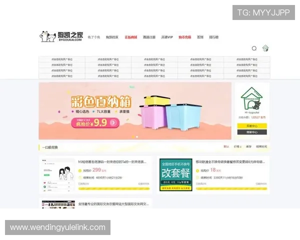 问鼎旗舰网站：打造高品质游戏社区平台的关键步骤与运营技巧